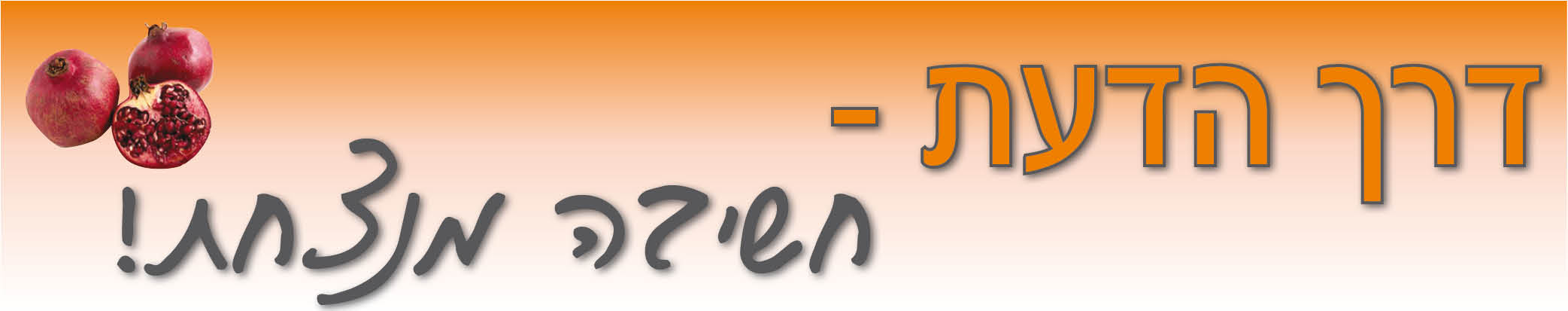 דרך הדעת - חשיבה מנצחת