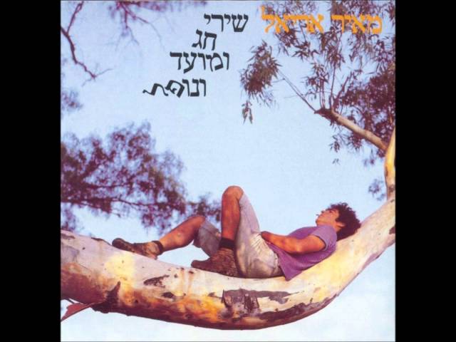 טרמינל לומינלט מאיר אריאל